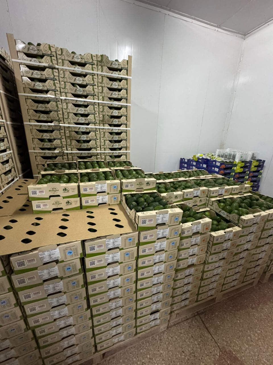 Agricultural Produce produce sourced by MINTI EXPORTERS LIMITED